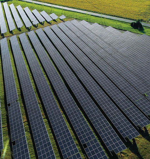 Solar Panels for companies